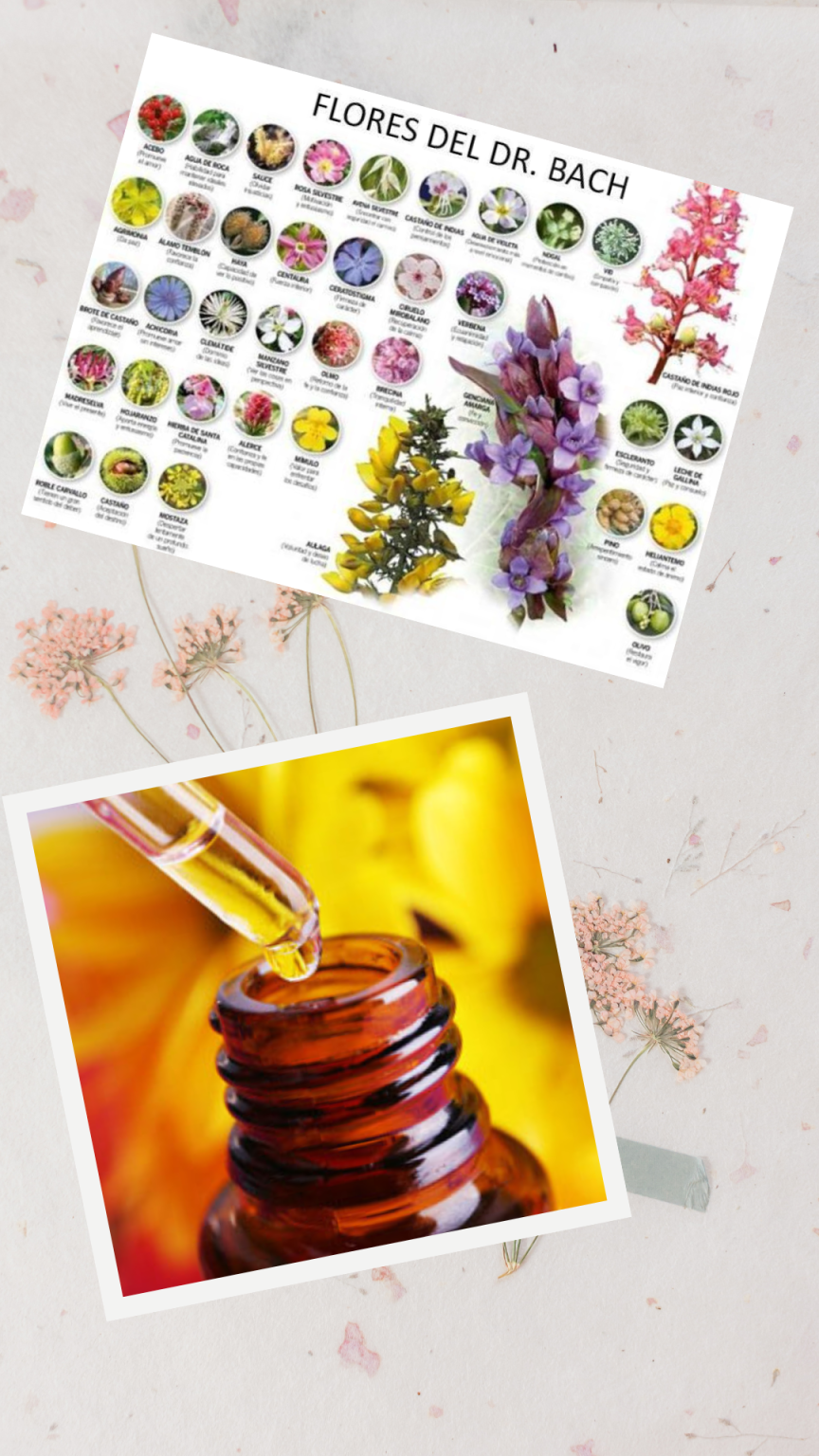 Flores_de_Bach_terapia_floral