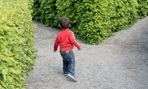 coaching_de_vida_alternativas