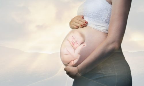 técnica_metamórfica